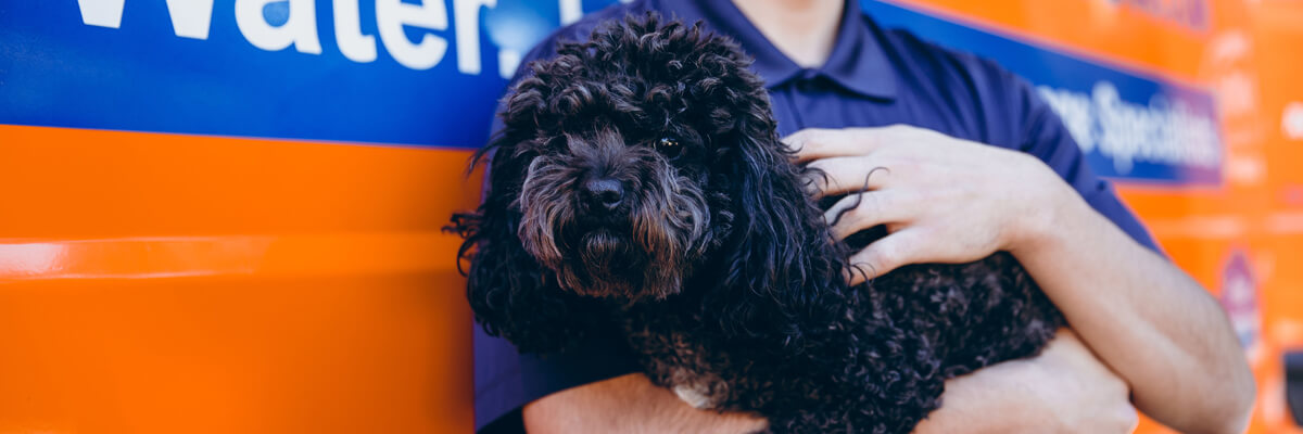 About 911 Restoration of Westchester NY